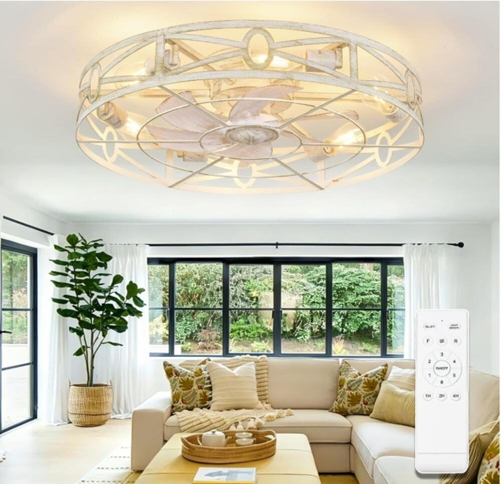 Depuley 24" Caged Flush Mount Ceiling Fan Light Remote 6-Speed Open Box
